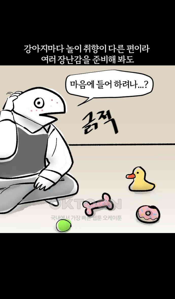 개집사 10화 귀여운 얼굴과 그렇지 못한… 11