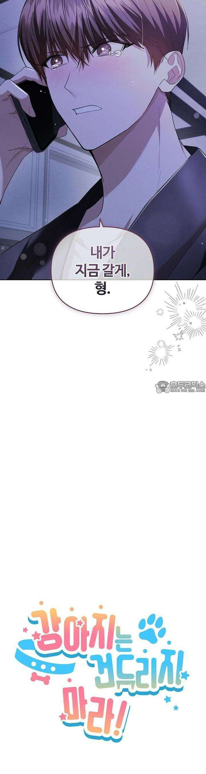 강아지는 건드리지 마라 14화 8