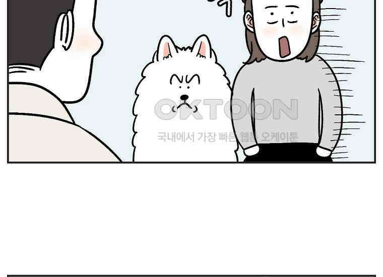 극한견주 시즌2 1화 면봉이의 탄생 7