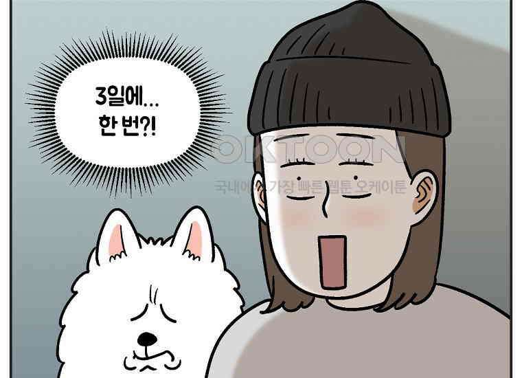 극한견주 시즌2 1화 면봉이의 탄생 8