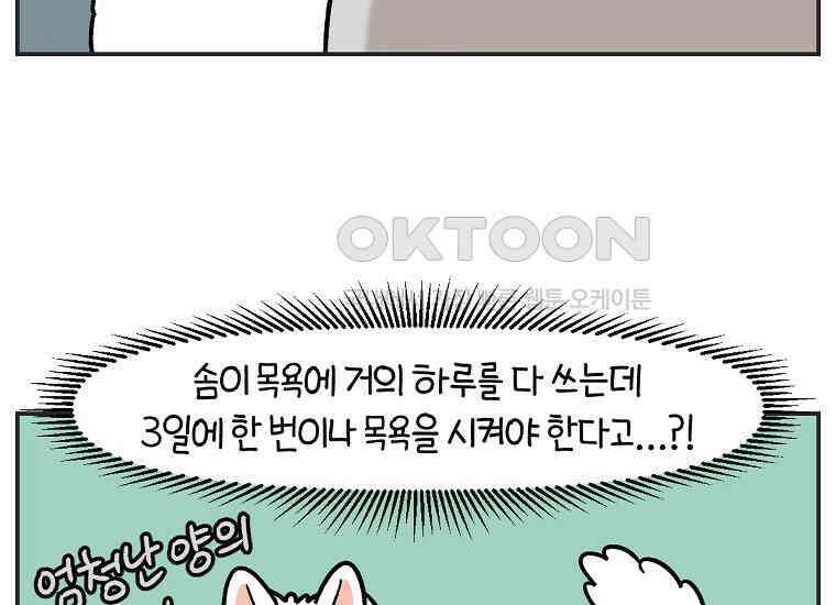 극한견주 시즌2 1화 면봉이의 탄생 9