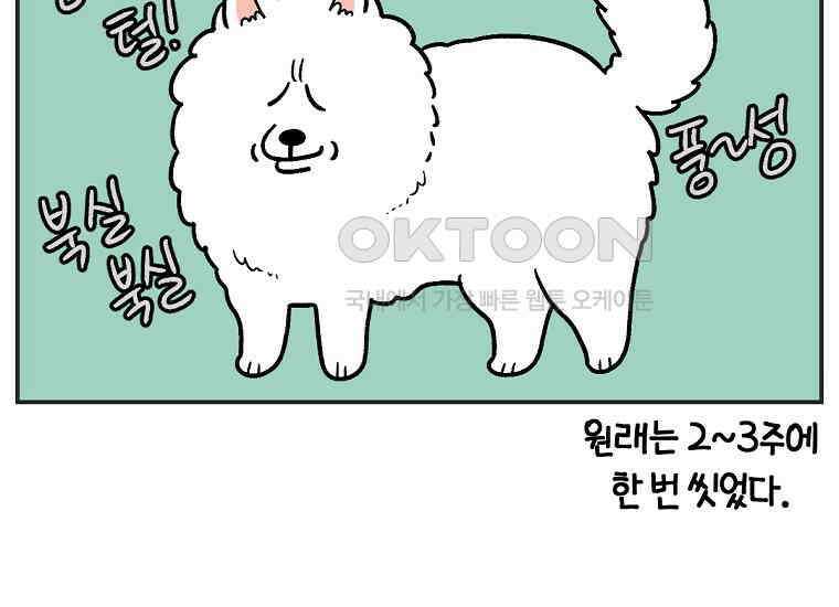 극한견주 시즌2 1화 면봉이의 탄생 10
