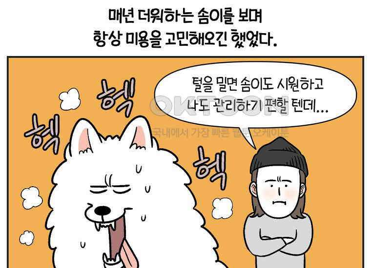극한견주 시즌2 1화 면봉이의 탄생 17
