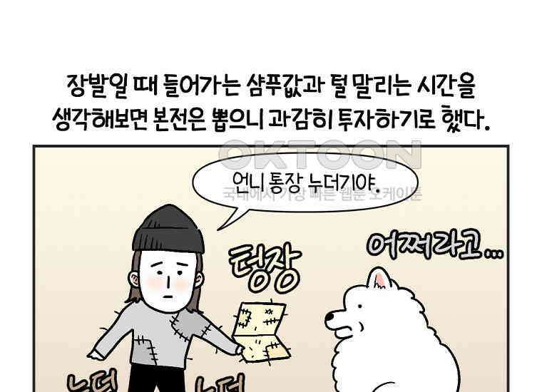 극한견주 시즌2 1화 면봉이의 탄생 30