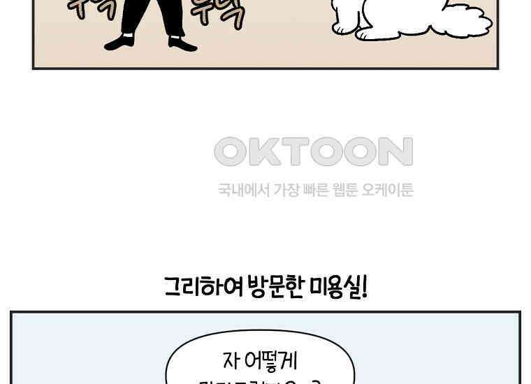극한견주 시즌2 1화 면봉이의 탄생 31