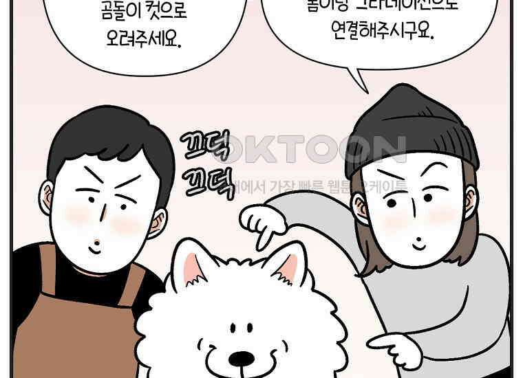 극한견주 시즌2 1화 면봉이의 탄생 34