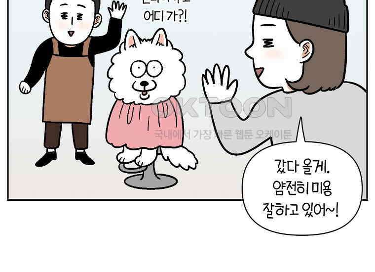 극한견주 시즌2 1화 면봉이의 탄생 36