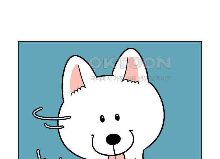 극한견주 시즌2 1화 면봉이의 탄생 44