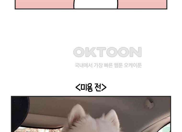 극한견주 시즌2 1화 면봉이의 탄생 50