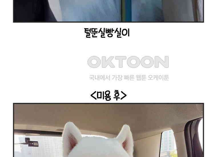 극한견주 시즌2 1화 면봉이의 탄생 52