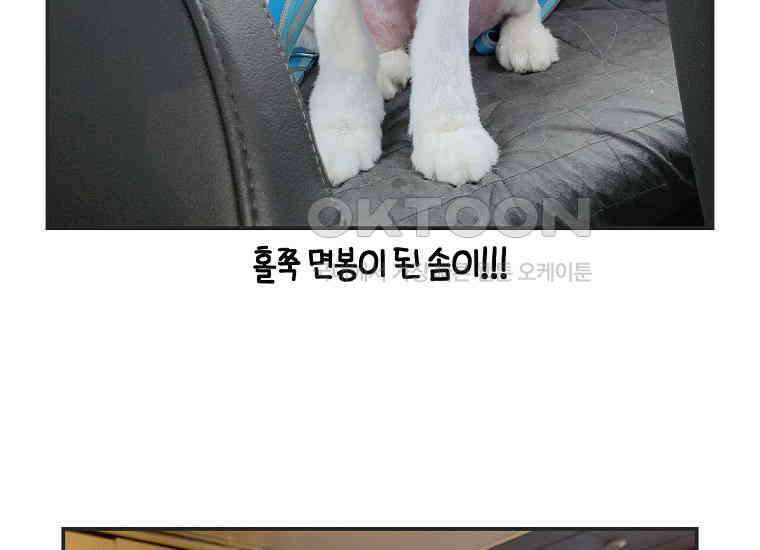극한견주 시즌2 1화 면봉이의 탄생 54