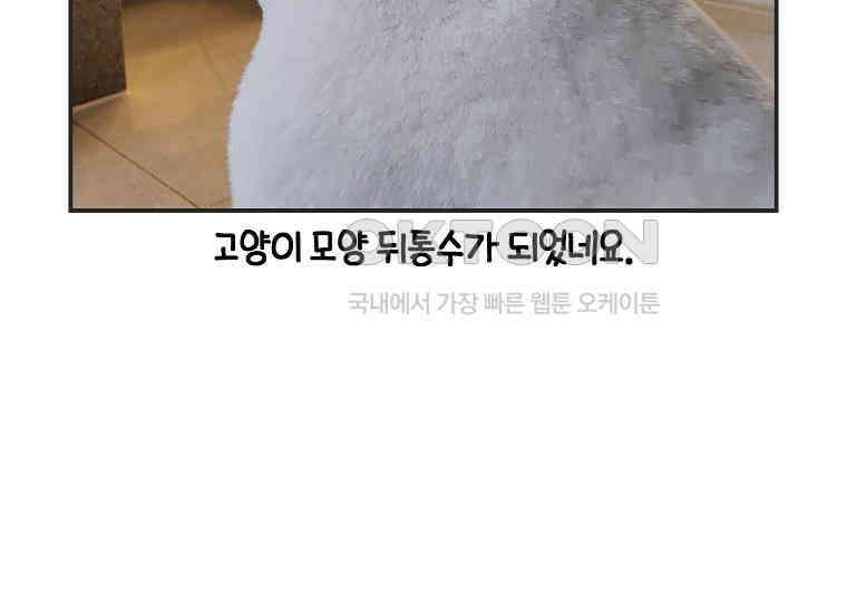 극한견주 시즌2 1화 면봉이의 탄생 56