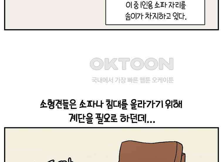극한견주 시즌2 8화 솜이 전용 자리 4