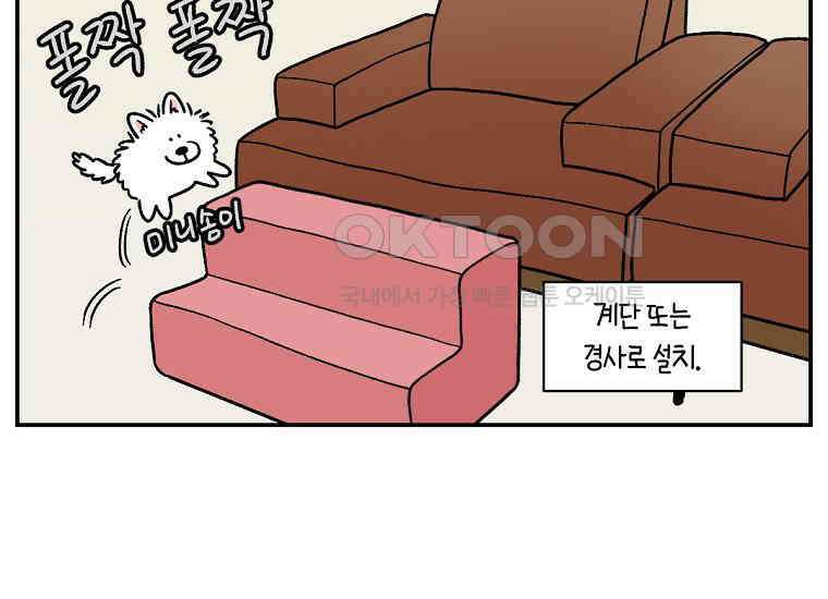 극한견주 시즌2 8화 솜이 전용 자리 5