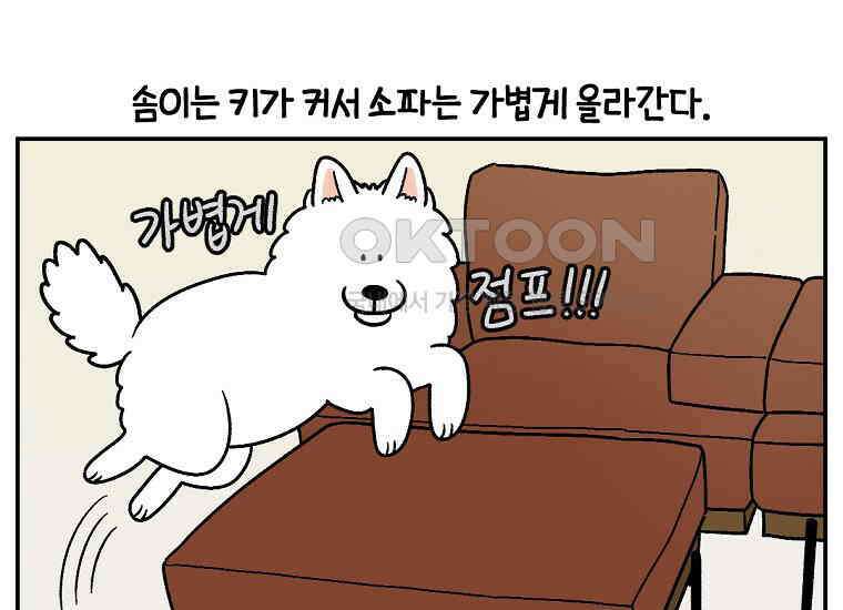 극한견주 시즌2 8화 솜이 전용 자리 6