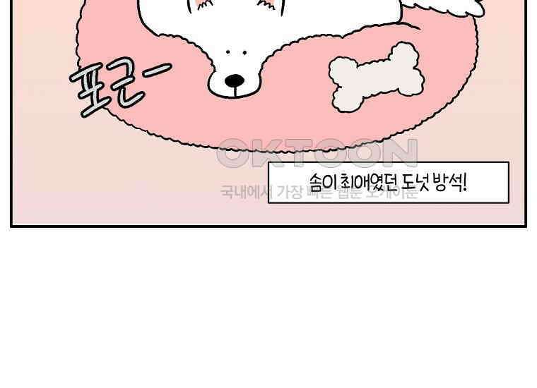 극한견주 시즌2 8화 솜이 전용 자리 8