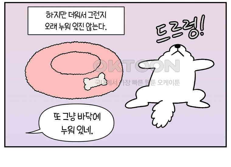 극한견주 시즌2 8화 솜이 전용 자리 9