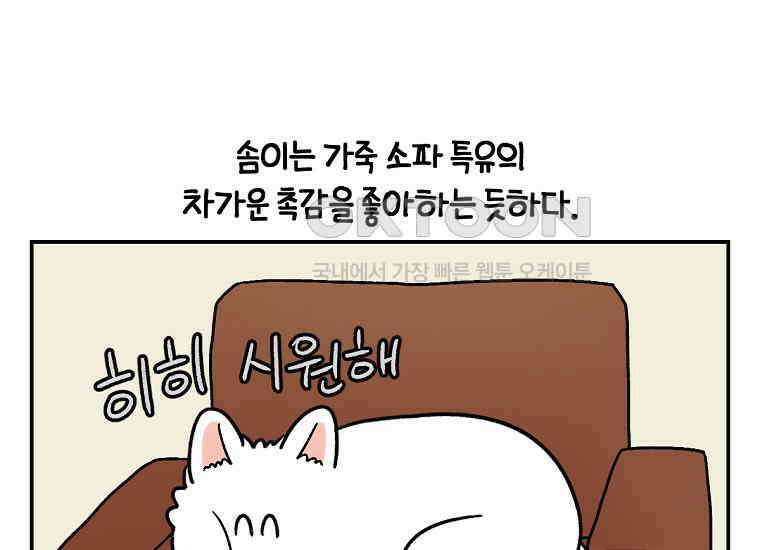 극한견주 시즌2 8화 솜이 전용 자리 10