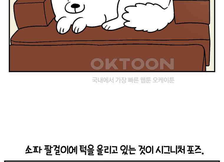 극한견주 시즌2 8화 솜이 전용 자리 11