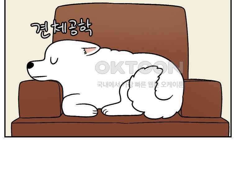 극한견주 시즌2 8화 솜이 전용 자리 12
