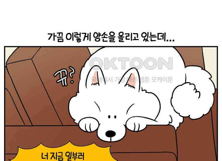 극한견주 시즌2 8화 솜이 전용 자리 13