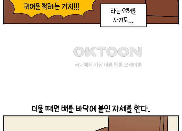 극한견주 시즌2 8화 솜이 전용 자리 14