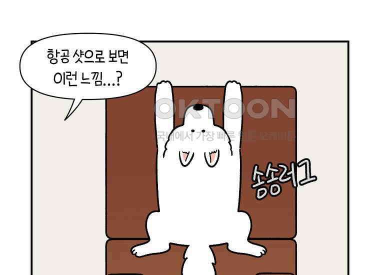 극한견주 시즌2 8화 솜이 전용 자리 16