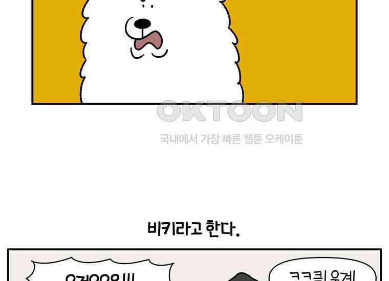 극한견주 시즌2 8화 솜이 전용 자리 21