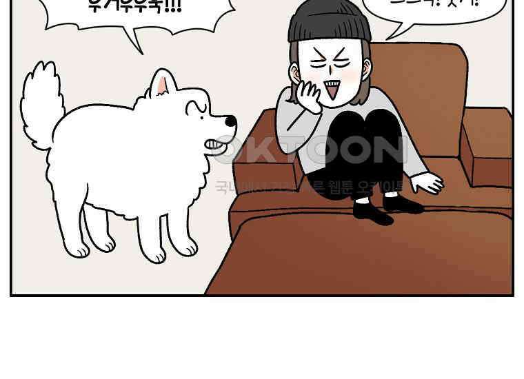 극한견주 시즌2 8화 솜이 전용 자리 22