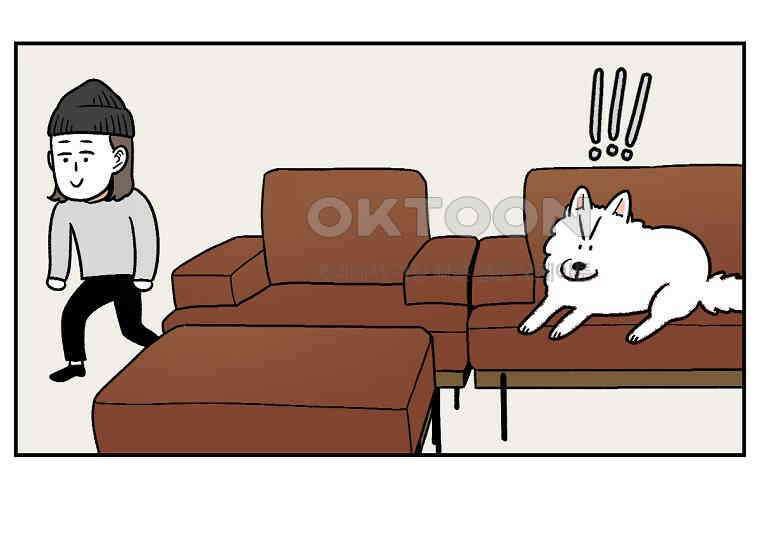 극한견주 시즌2 8화 솜이 전용 자리 28