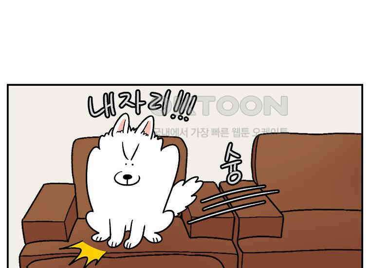 극한견주 시즌2 8화 솜이 전용 자리 29