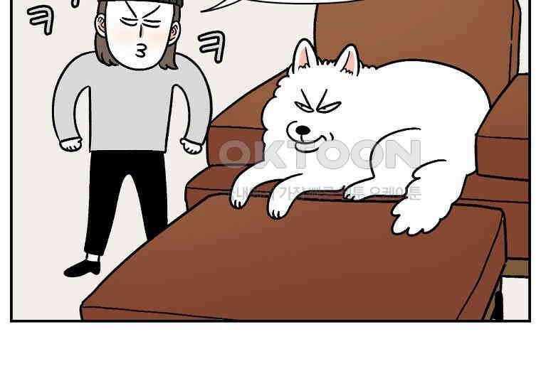 극한견주 시즌2 8화 솜이 전용 자리 31
