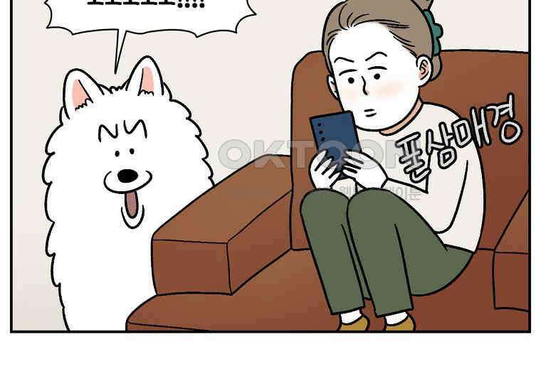 극한견주 시즌2 8화 솜이 전용 자리 34