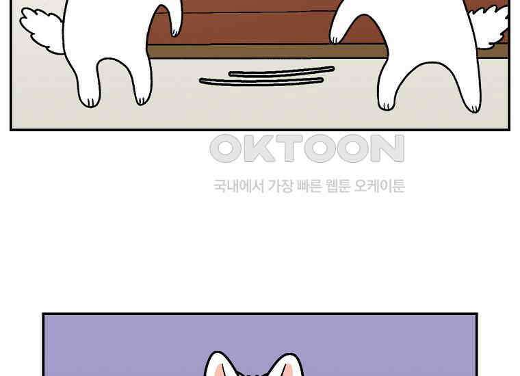 극한견주 시즌2 8화 솜이 전용 자리 36