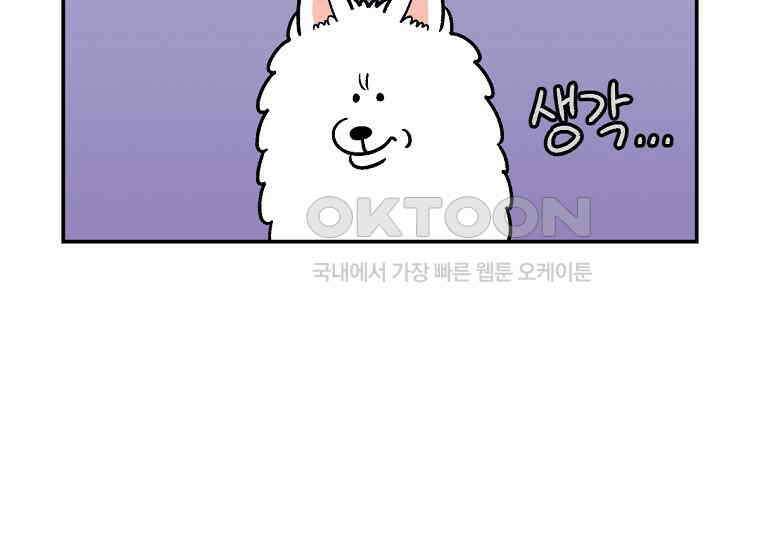 극한견주 시즌2 8화 솜이 전용 자리 37