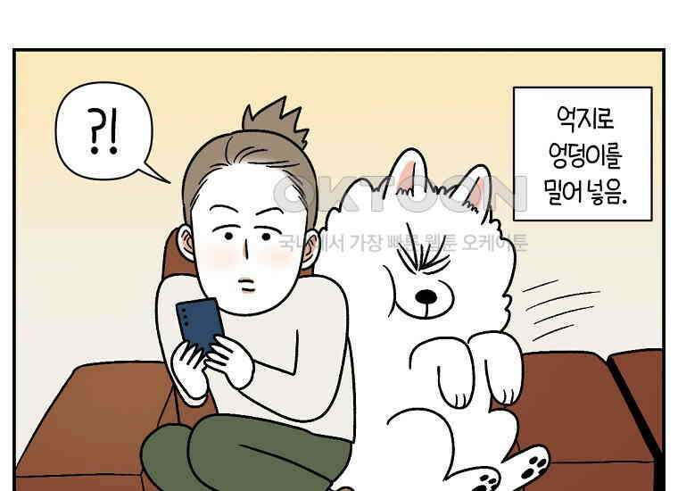 극한견주 시즌2 8화 솜이 전용 자리 38