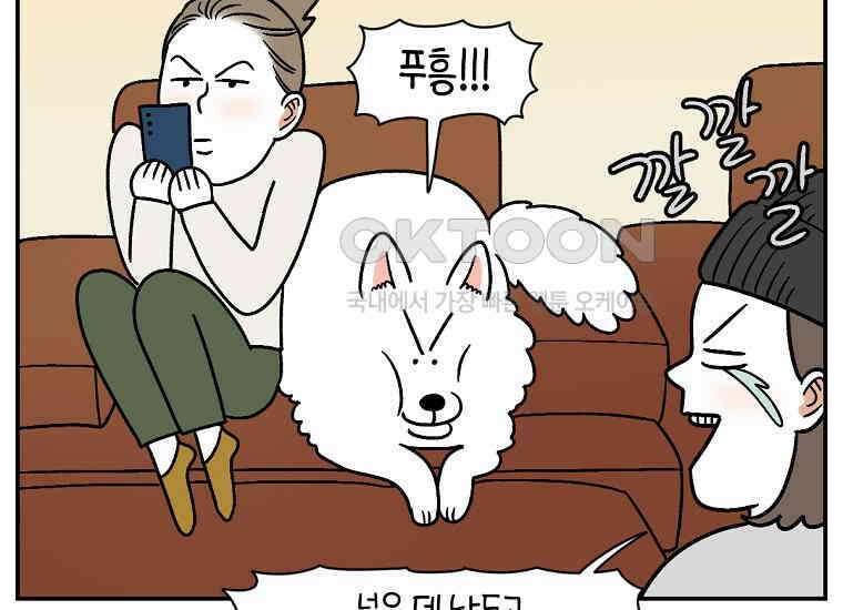 극한견주 시즌2 8화 솜이 전용 자리 40