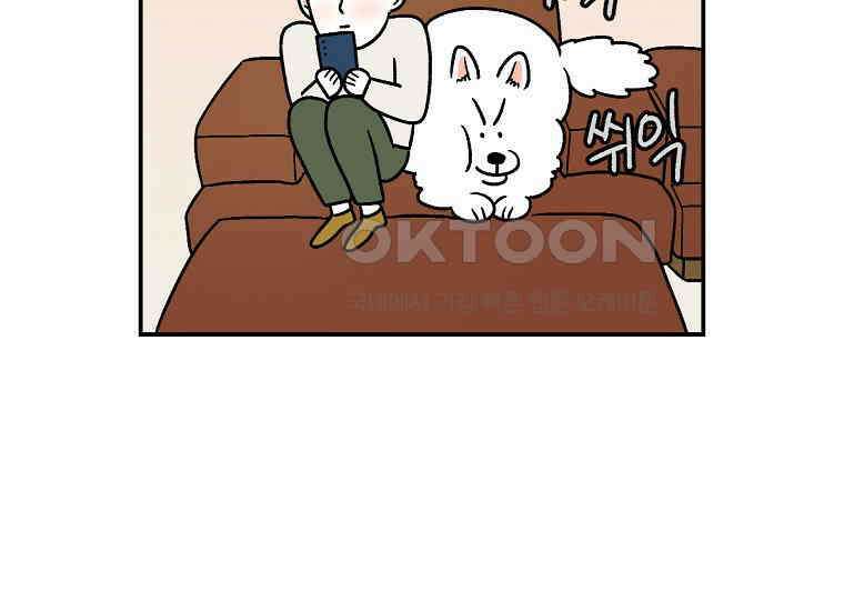 극한견주 시즌2 8화 솜이 전용 자리 42