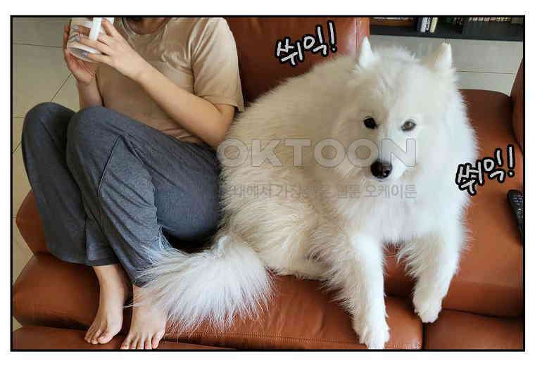 극한견주 시즌2 8화 솜이 전용 자리 43