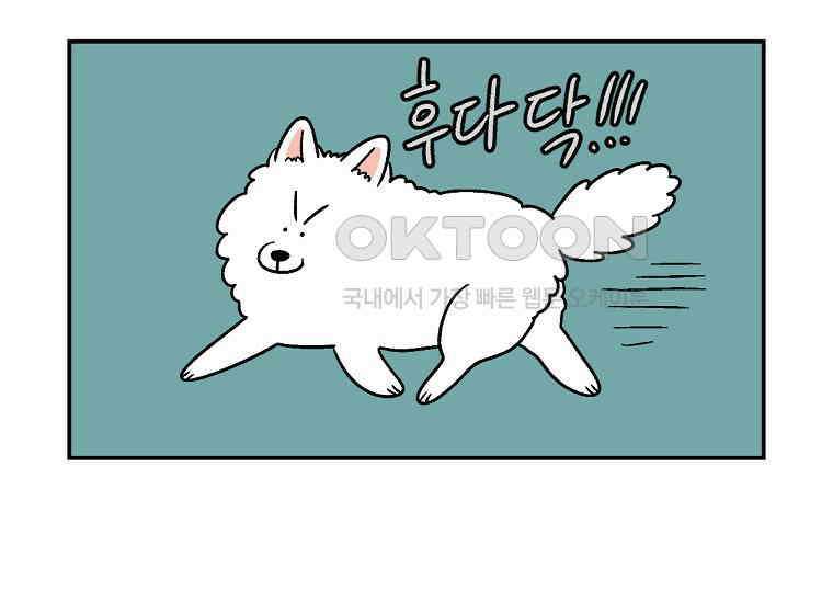 극한견주 시즌2 8화 솜이 전용 자리 46