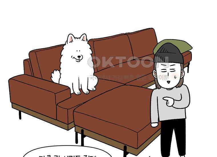 극한견주 시즌2 8화 솜이 전용 자리 47