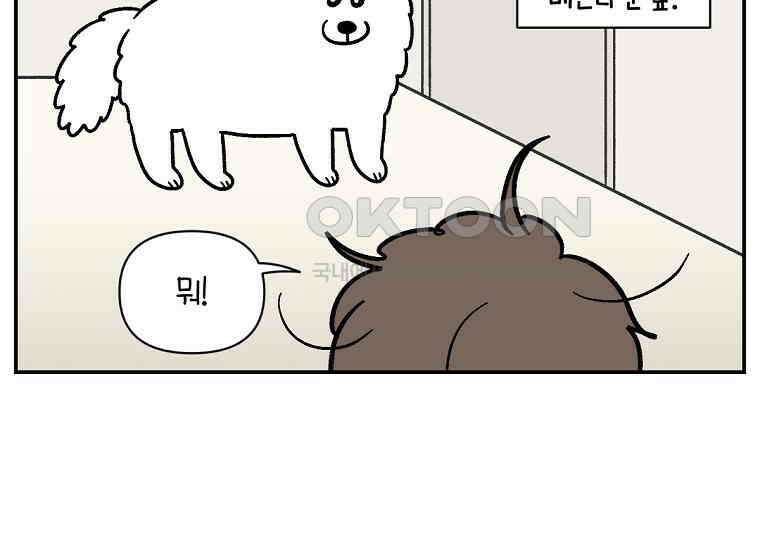 극한견주 시즌2 13화 베란다 문 열어줘 12