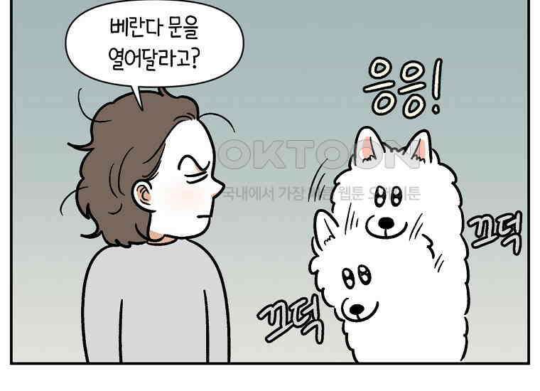 극한견주 시즌2 13화 베란다 문 열어줘 15