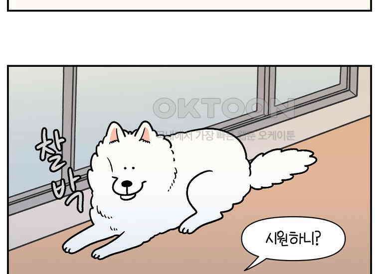 극한견주 시즌2 13화 베란다 문 열어줘 19