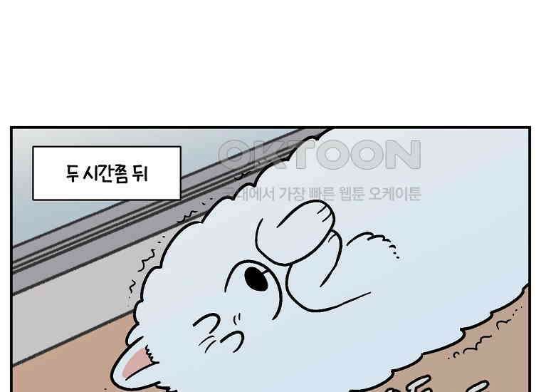 극한견주 시즌2 13화 베란다 문 열어줘 34