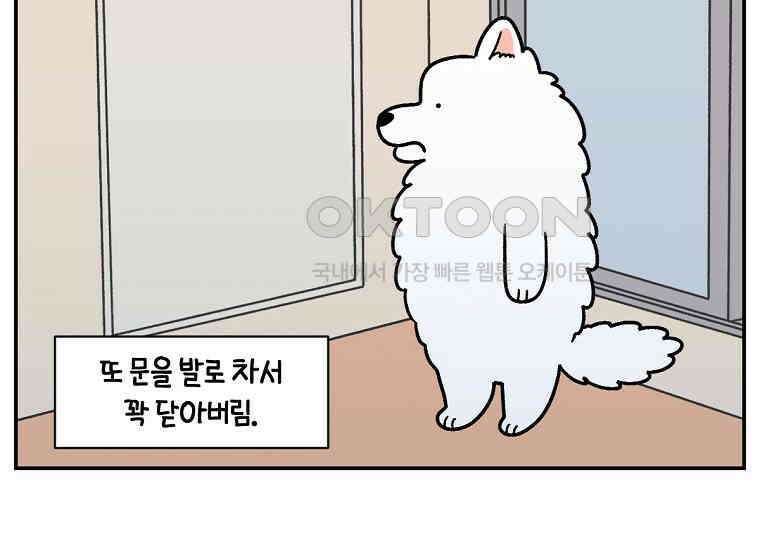극한견주 시즌2 13화 베란다 문 열어줘 41