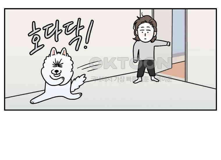 극한견주 시즌2 13화 베란다 문 열어줘 46