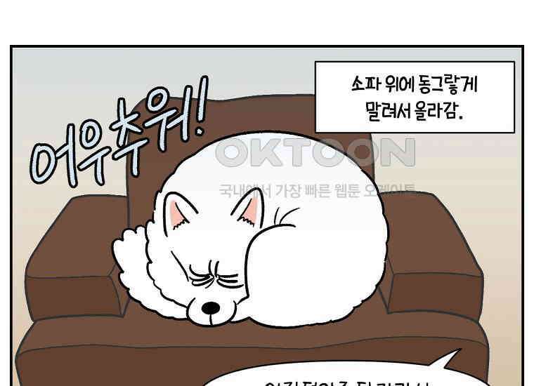 극한견주 시즌2 13화 베란다 문 열어줘 47