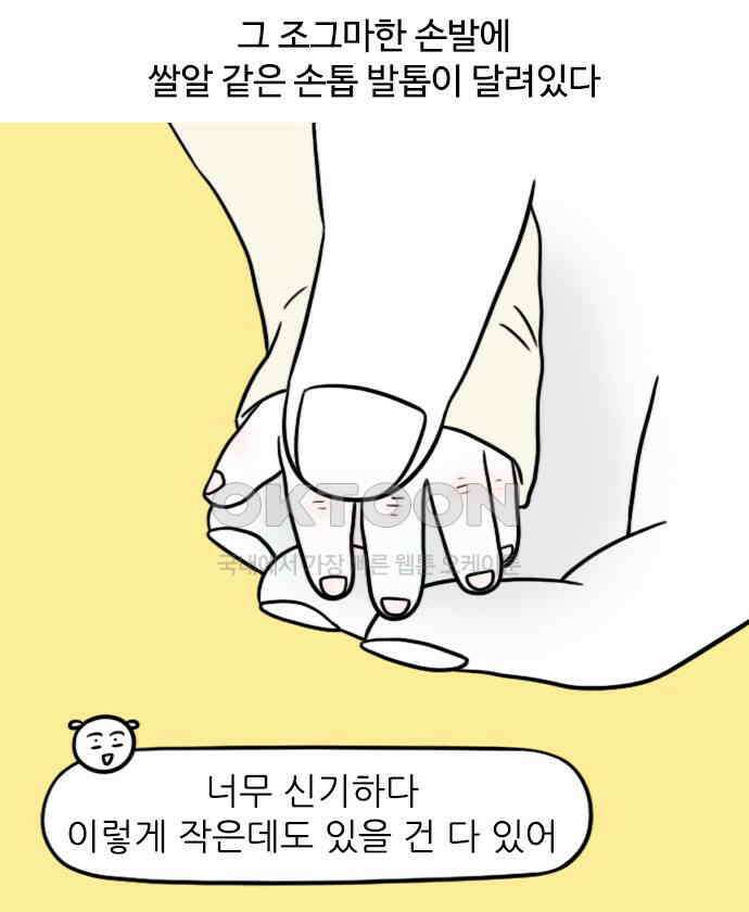 신혼일기 80화 아기 손톱과 아기 코딱지 3