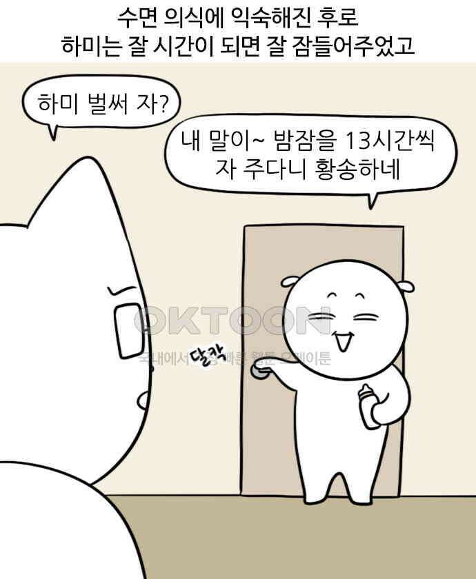 신혼일기 95화 새벽의 전투(2) 2